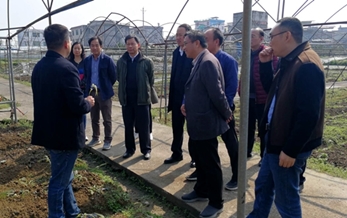 農業農村部農藥檢定所嚴端祥副所長一行到湖北恩施調研中草藥農藥使用情況