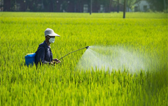 用于水生生態系統和地下水風險評估的TOP-Rice模型