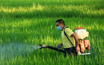 農(nóng)業(yè)部決定對含甲磺隆、氯磺隆和胺苯磺隆等除草劑產(chǎn)品實行停止批準新增登記等管理措施（農(nóng)業(yè)部公告2006年第671號）