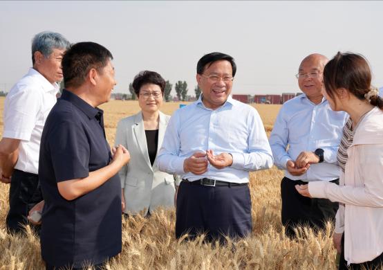 韓俊在河南河北調研時強調 扎實推進糧油作物大面積單產提升行動 全力以赴夯實全年糧食豐收基礎